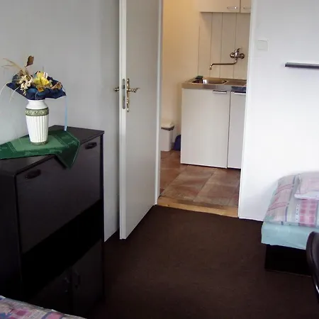 Πανσιόν Penzion Wizard Černá v Pošumaví