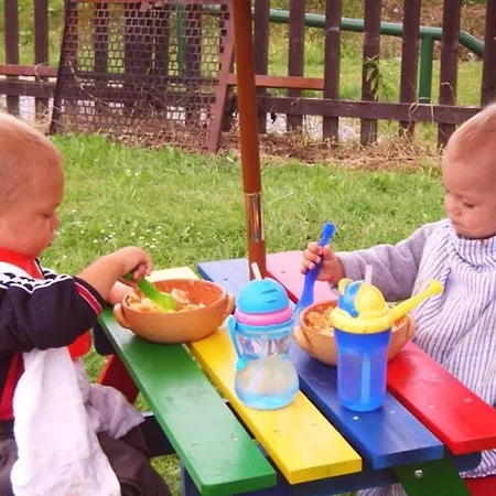 Penzion Wizard Černá v Pošumaví